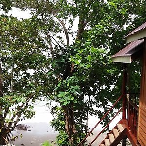 Jungle Hill Beach Bungalow